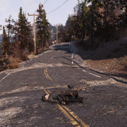 46