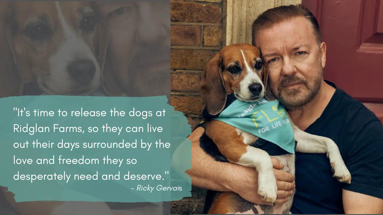 Ricky Gervais Calls for Action to Free Dogs from Ridglan