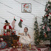 IMG 4337