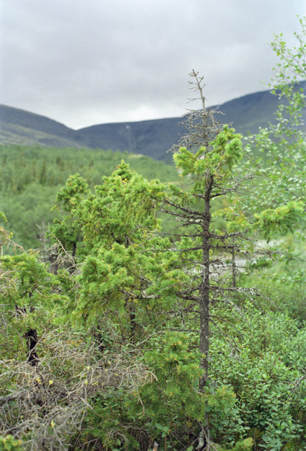 02 Kodak Vision 250D033.jpg