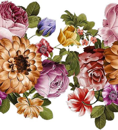 f6d2e7852013a55b2a10a389d4e9cd9b.png