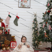 IMG 4493
