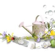 50b20199