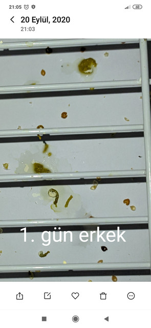 IMG-20200920-210610
