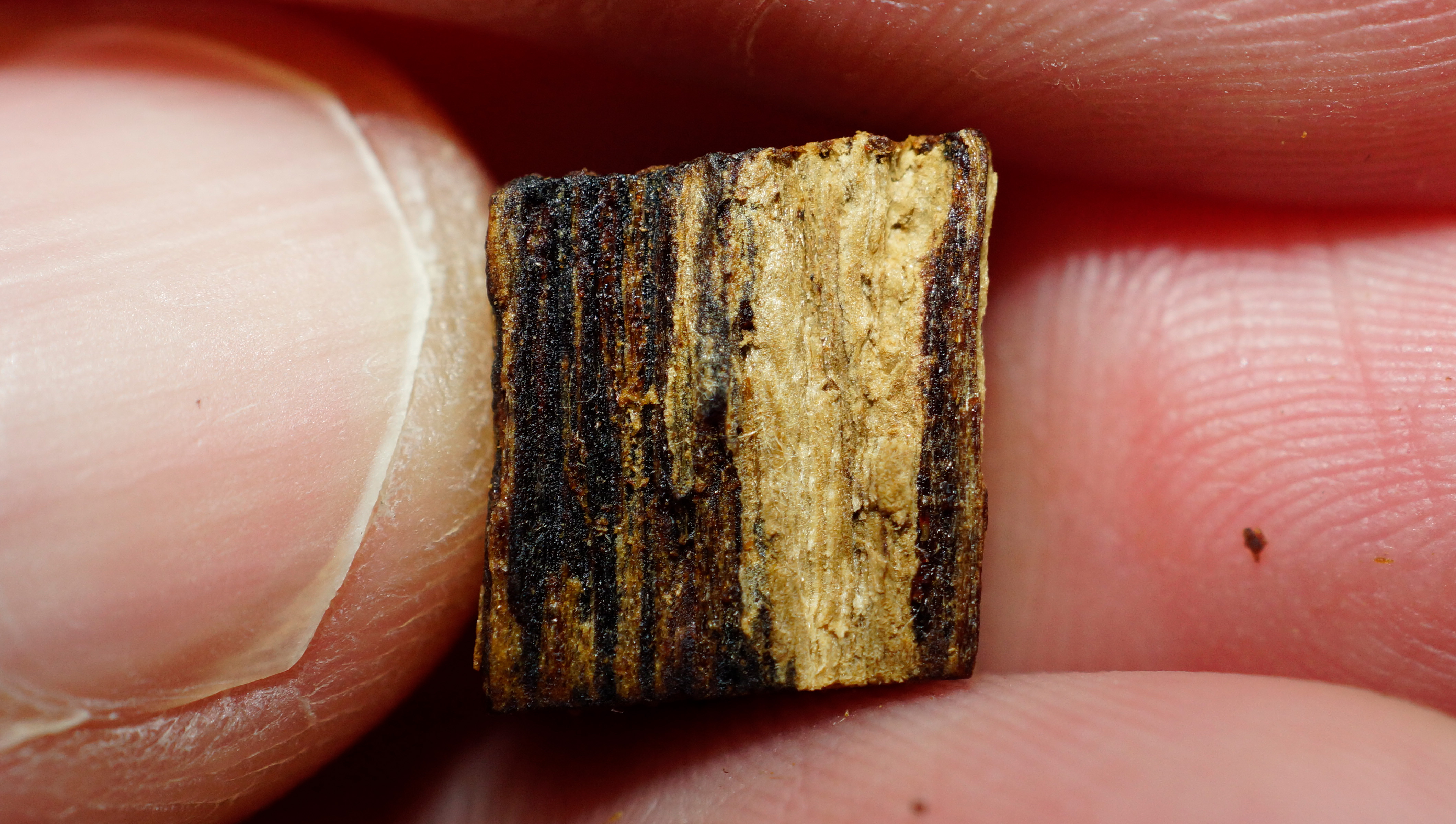 [Ouddict.com] Oud Wood