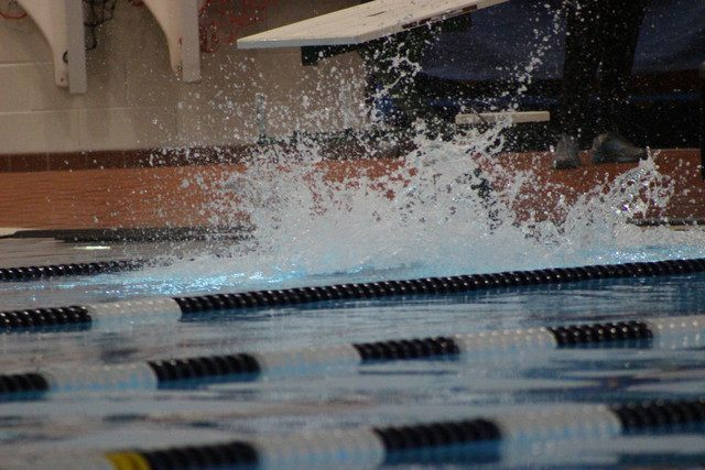 IMG-0229