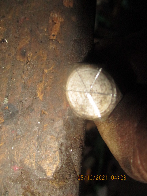 IMG-8908.jpg