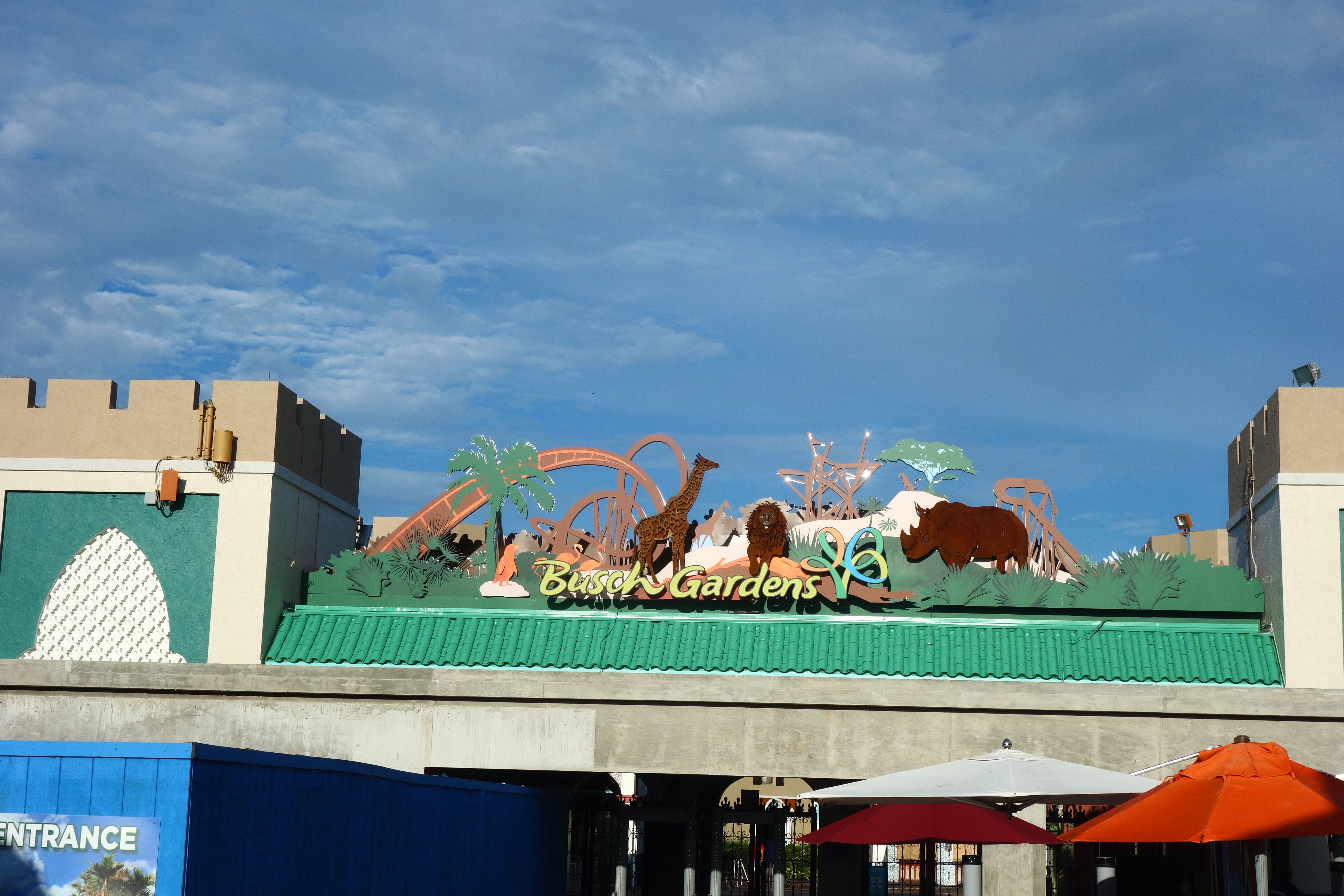 DSC09316