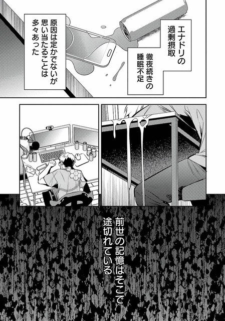 DLRAW-NET-011