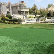 Artificial Grass For Dogs