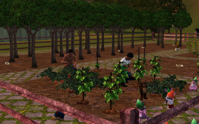 Screenshot-227