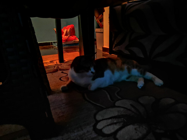bsh
