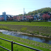 DSC-0078