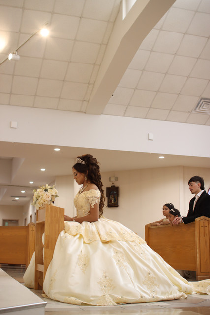 IMG-8492