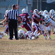 IMG-4110