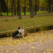 DSCF1817
