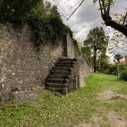IMG-2231
