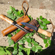 IMG 3599