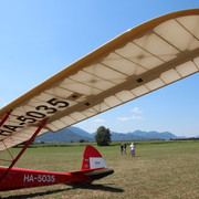 y-4303
