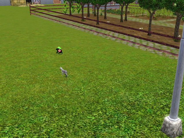 Screenshot-264