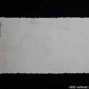 IMG-6993