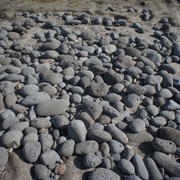 DSC01012