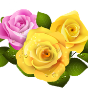 0-abfe6-327f8b1f-orig