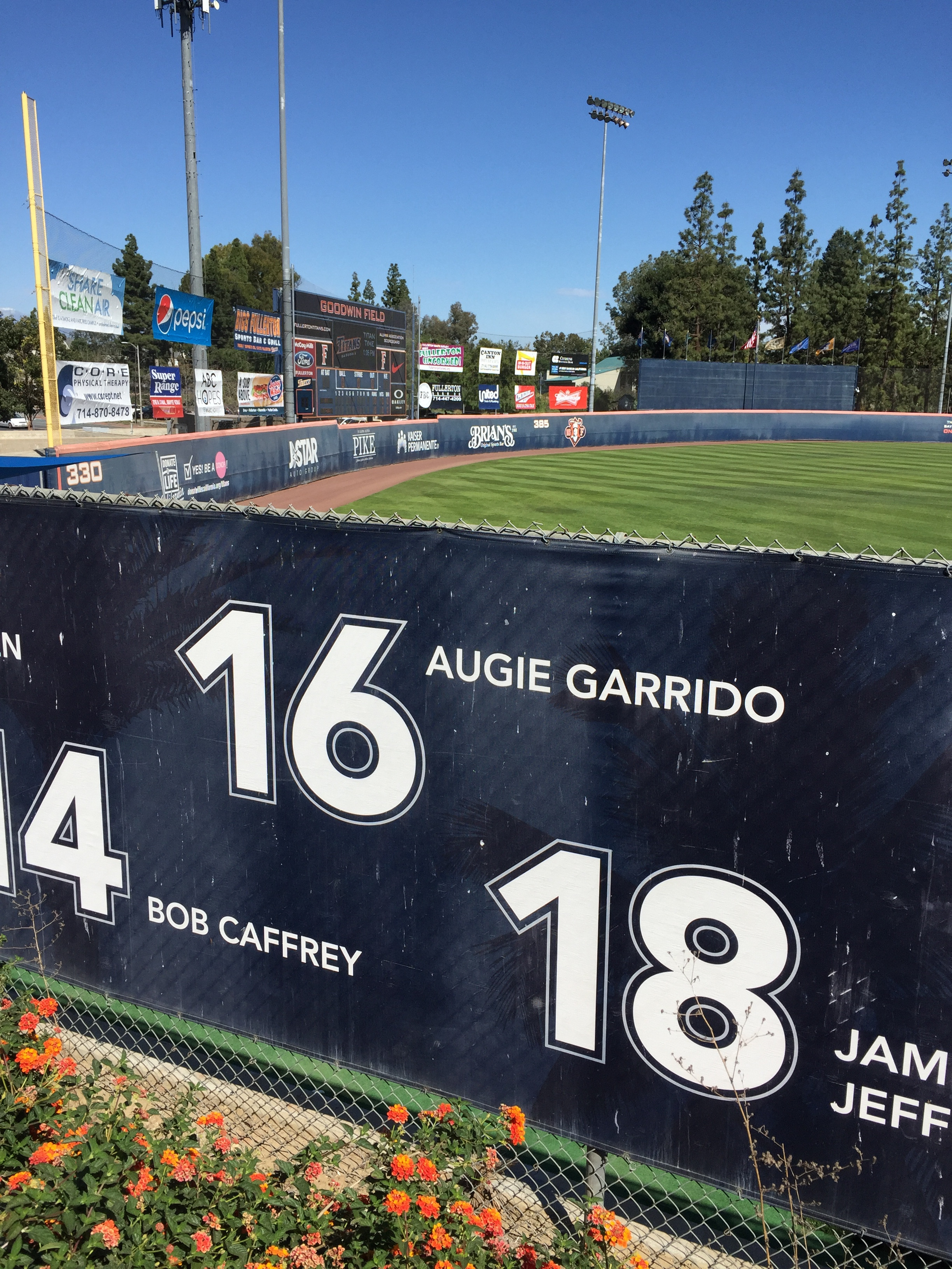 49-D8-FAE9-BD75-482-B-89-A9-3-DAAB8-EEEB