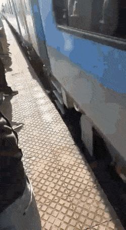 7594307