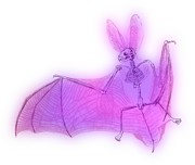 https://i.ibb.co/QmLDwN6/Mish.png
