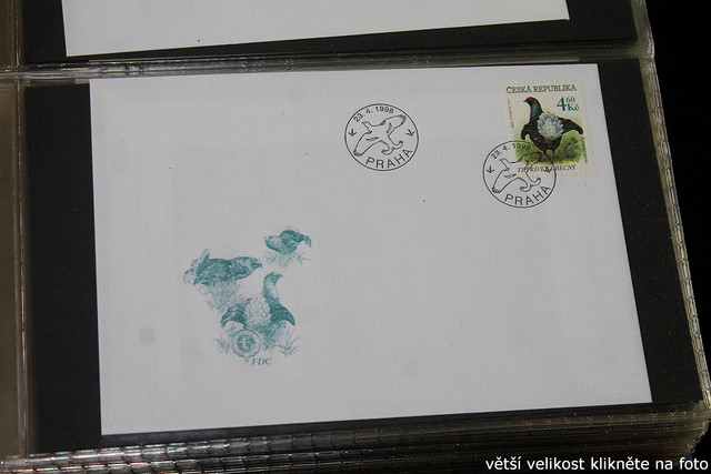 IMG-2604