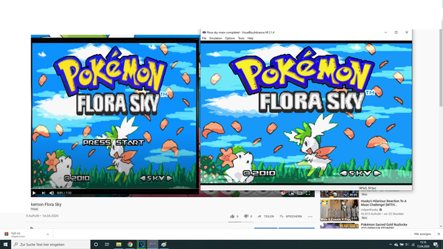 Pokemon-Flora-Sky