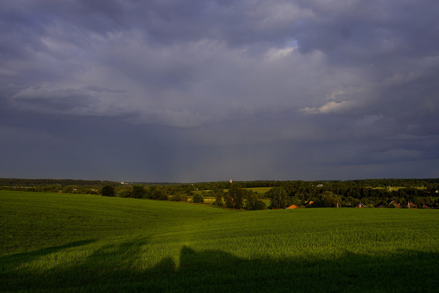 DSC5168