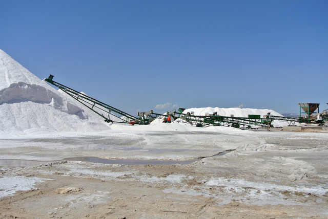 DSC-5935