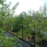 DSC-0028