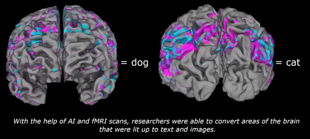 FMRI — Generating text from brain images | Ron Paul Forums