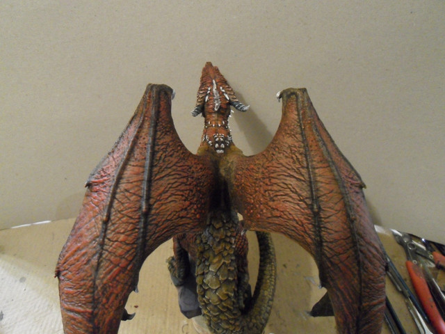 drache55