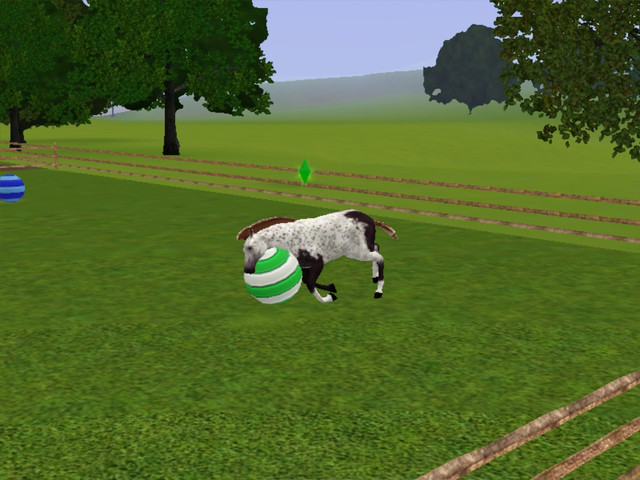 Screenshot-3