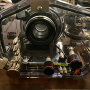 IMG-4203.jpg