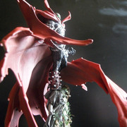 Spawn67