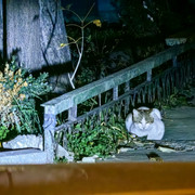 IMG-20241102-211348