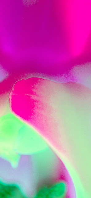 IMG-8111