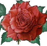 0-827dc-c34ecc76-L