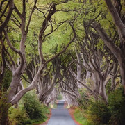 Ireland