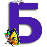 2-555916