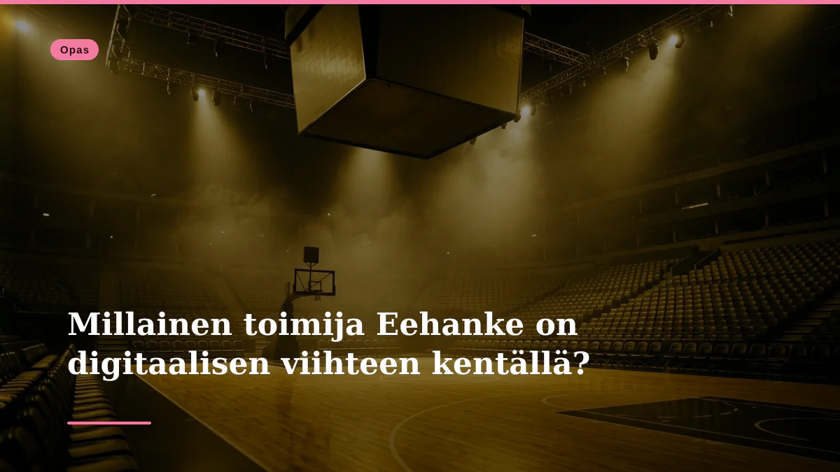 Millainen toimija Eehanke on digitaalisen viihteen kentällä?