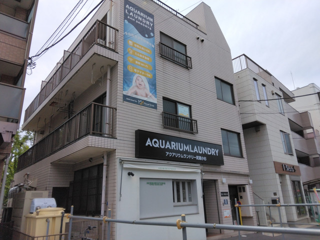 IMG 20260531 115601.jpg