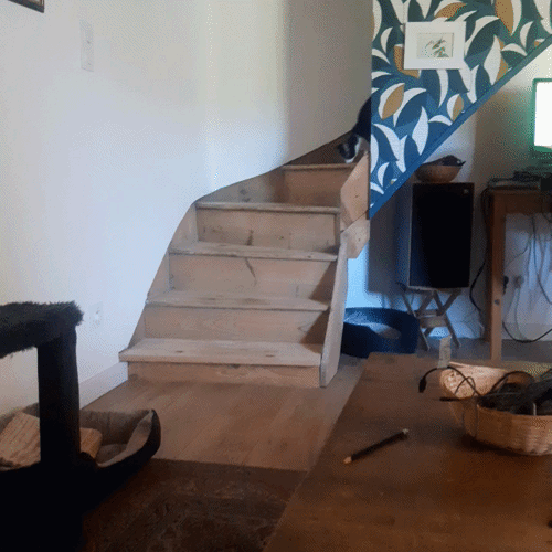 https://i.ibb.co/Qt5XFk2/ezgif-8f2d72acda87e2a4.gif