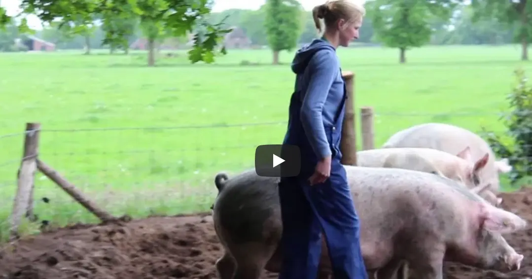 Het gaat goed met de Nederlandse biologische boer - Vleeskopenbijdeboer.nl
