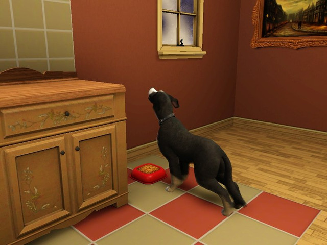Screenshot-560.jpg